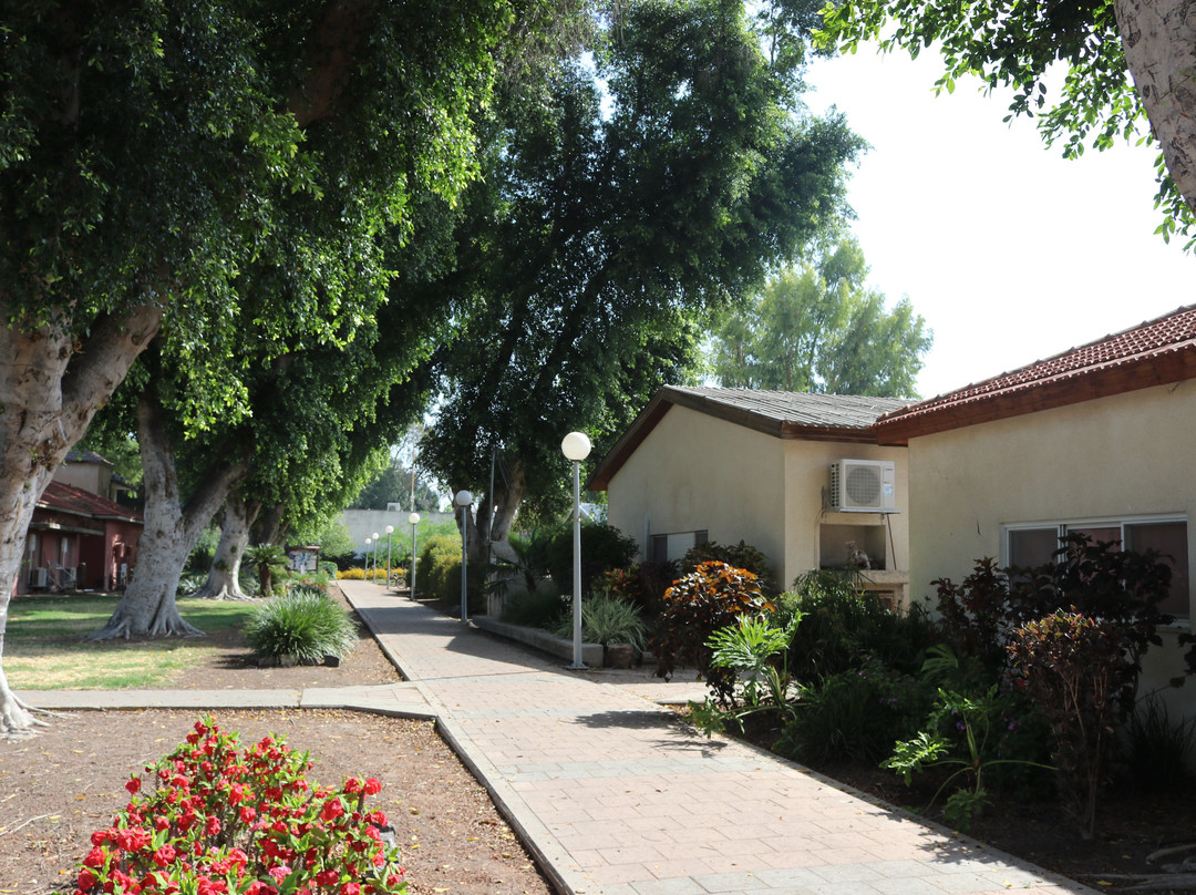 Kibbutz Degania Alef景点图片