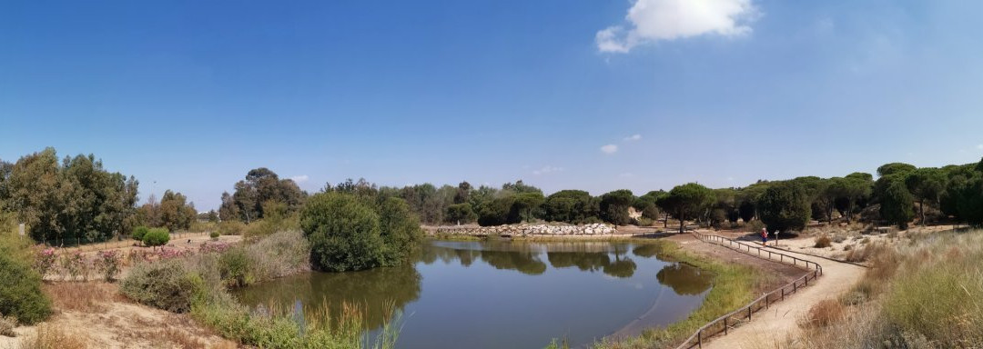 Jardin Botanico Dunas del Odiel景点图片
