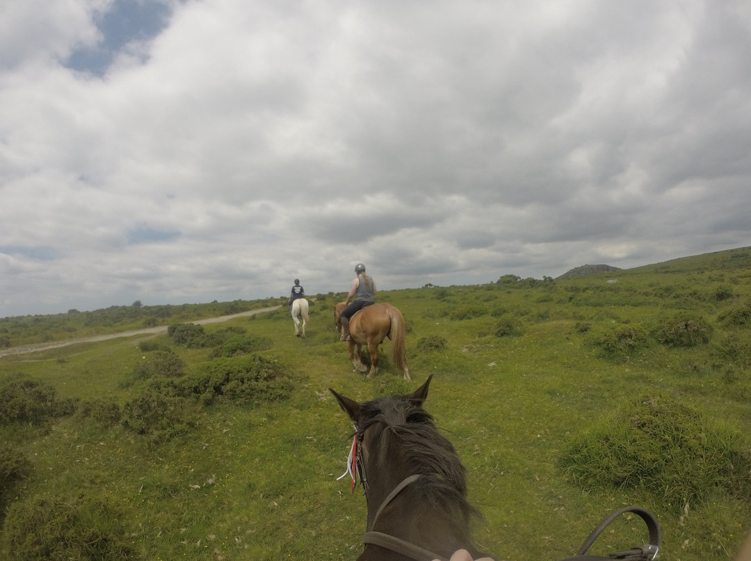 Caradon Hill Trekking and Equestrian Centre-Pensilva必去景点