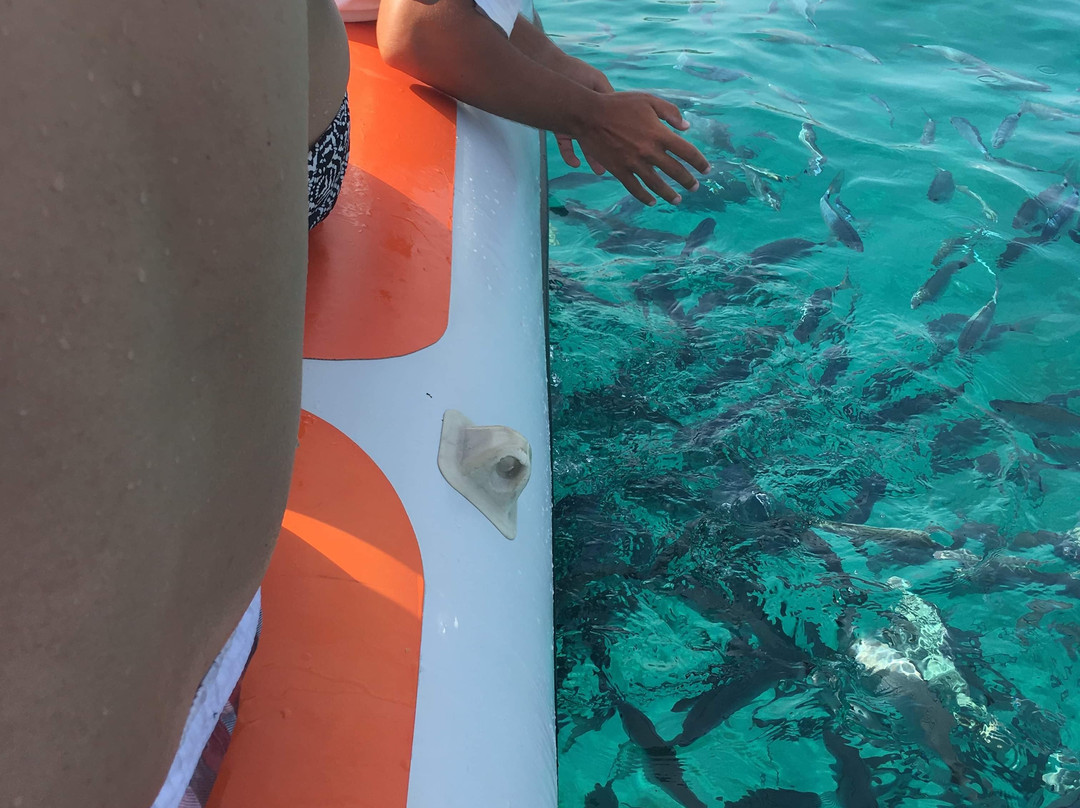 Flying Cruiser-阿利坎特省必去景点