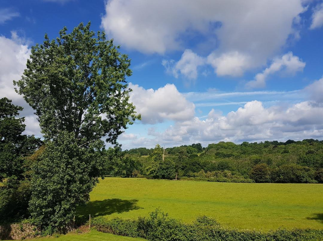 Ockenden Manor Hotel & Spa主图
