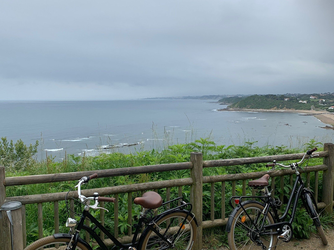 Marty Bike Rental景点图片
