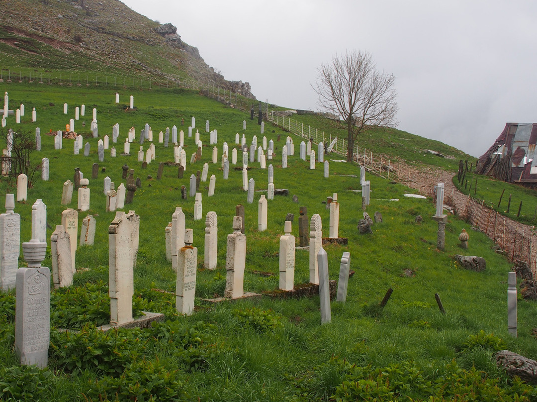 Vidikovac Lukomir景点图片