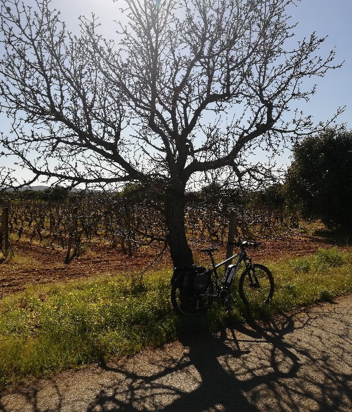 Casa Del Cicloturista-Santadi必去景点