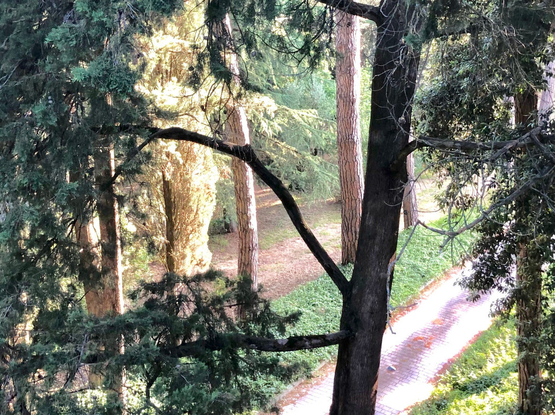 Villa Osperellone主图