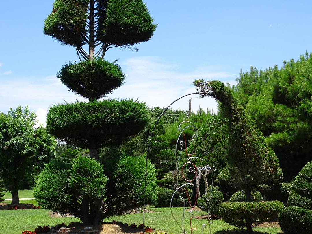 Pearl Fryar's Topiary Garden-Bishopville必去景点