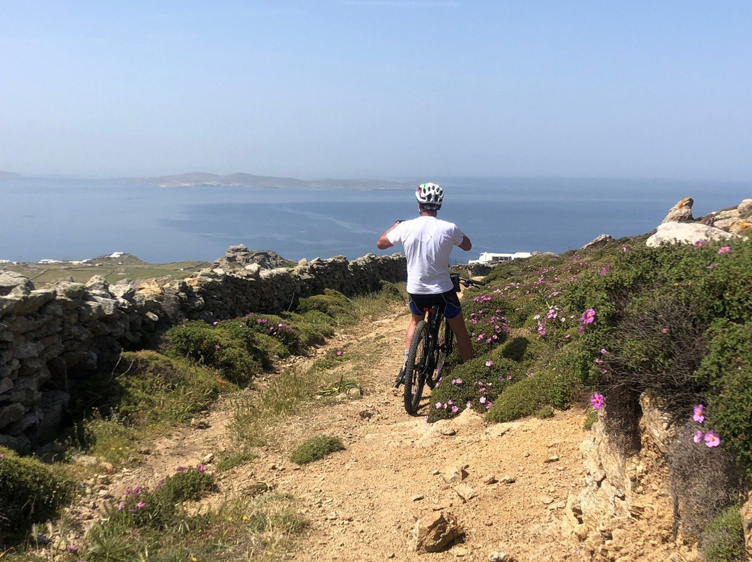 BikeCenterMykonos景点图片