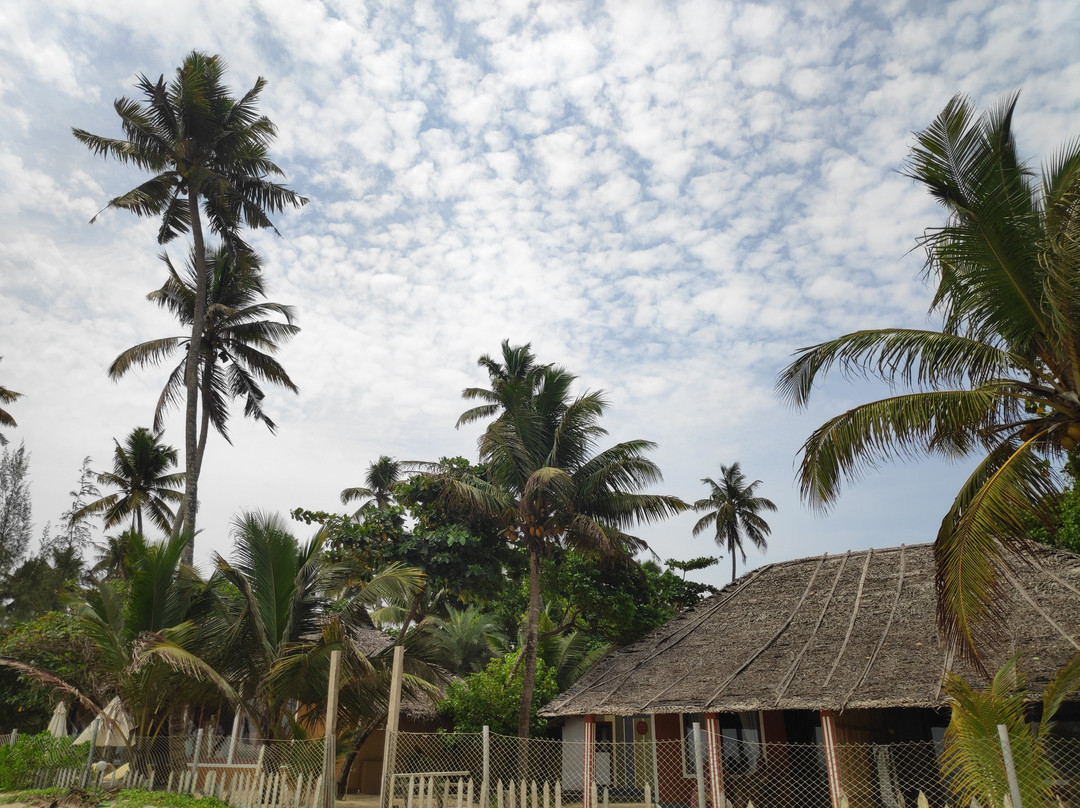 Azure Tides Marari主图