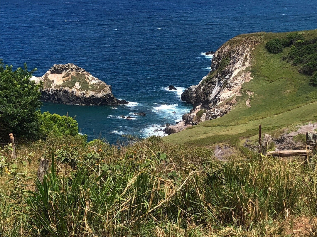 Circle M Ranch-怀露库必去景点