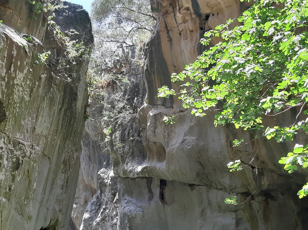 Gole di Tiberio景点图片