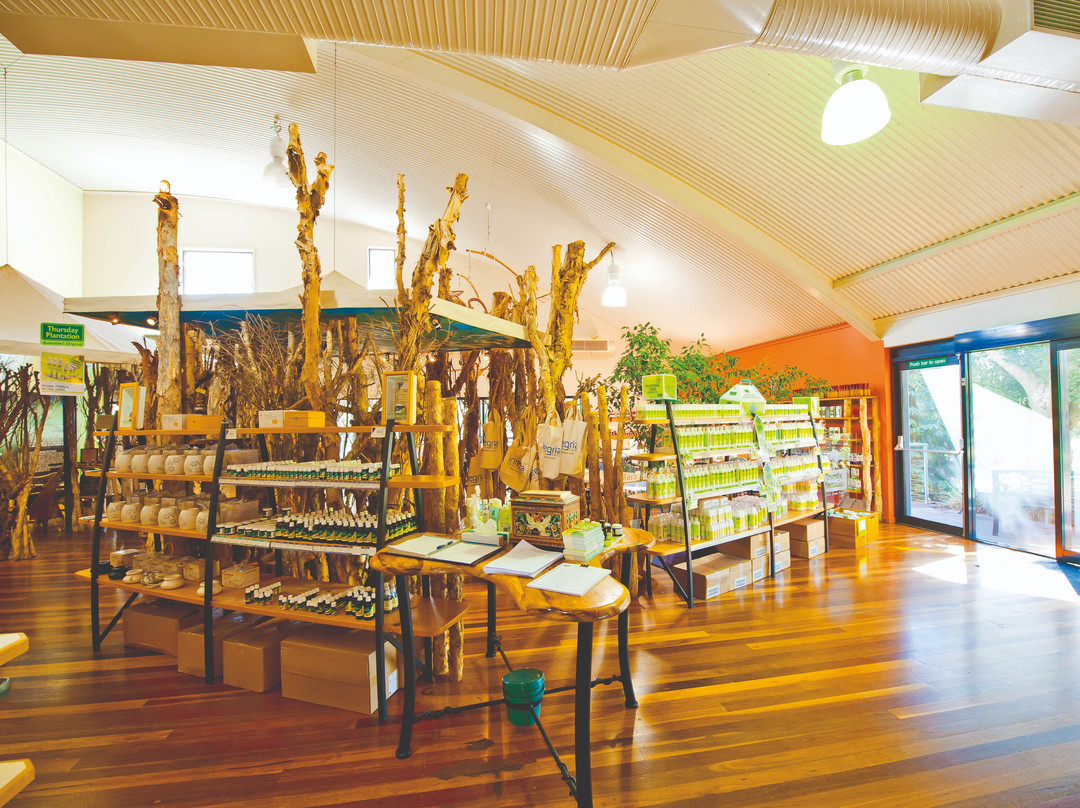 Thursday Plantation Visitors Centre景点图片