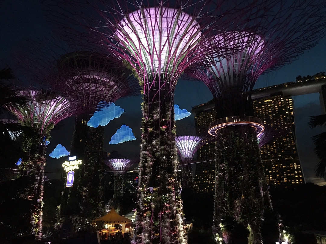 新加坡滨海湾花园景点图片