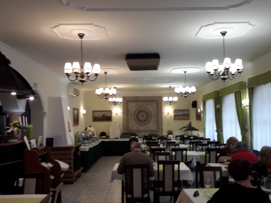 Gosztola Gyongye Wellness Hotel主图