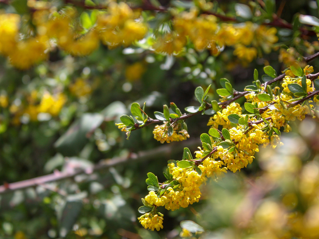 Zero Gravity Granada-格拉纳达必去景点