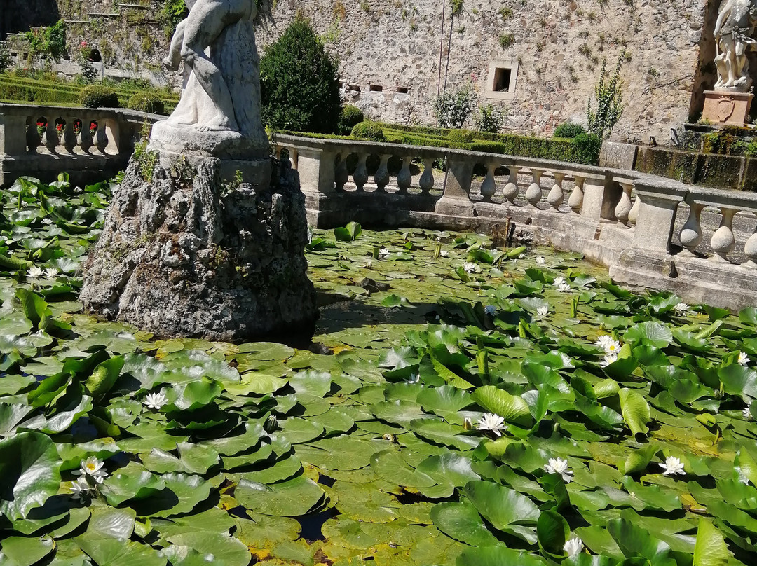 Villa Verità Fraccaroli景点图片