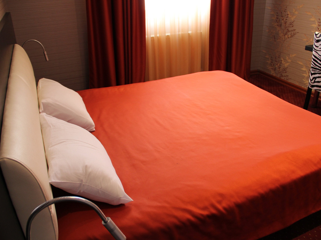 Hotel Villa Palace Bakuriani主图