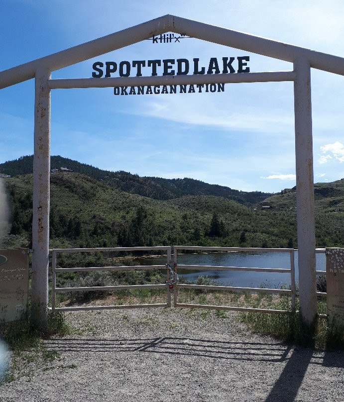 Spotted Lake景点图片