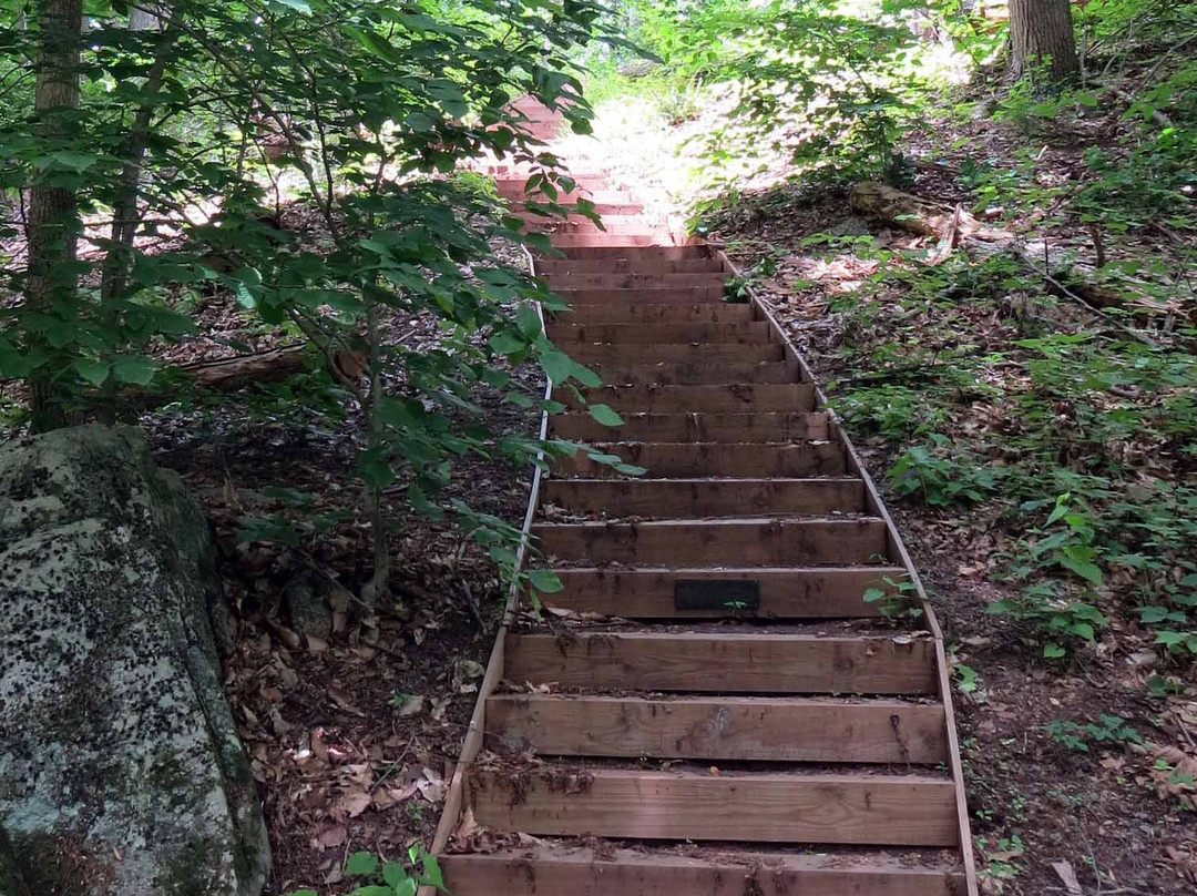 Bowman's Hill Wildflower Preserve景点图片