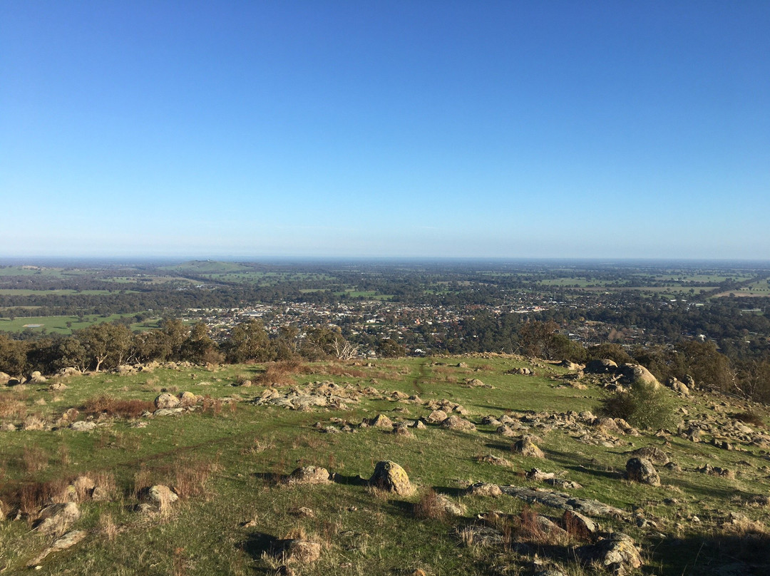 Balmattum Hill Walking Track景点图片