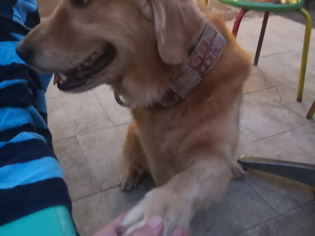 Makarma Resort Lombok主图