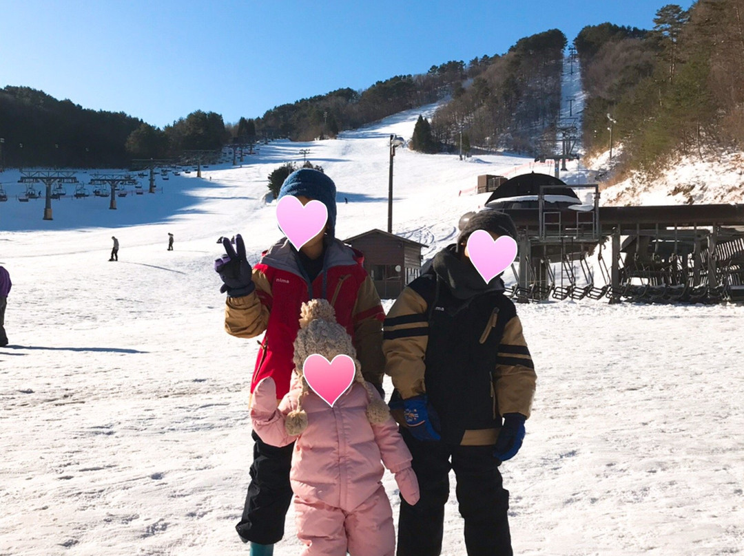 Geihoku Kokusai Ski Resort景点图片