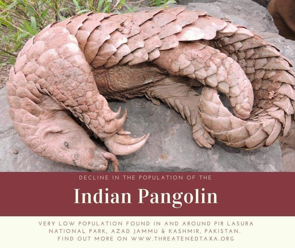 Pir Lasura National Park-Kotli必去景点