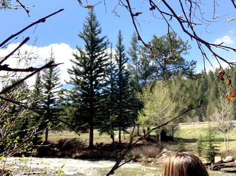 North Fork Ranch主图