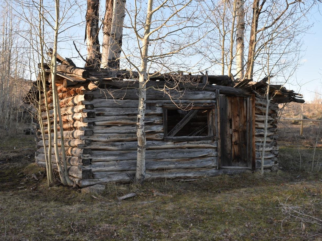 Pinedale Nature Tours-Pinedale必去景点