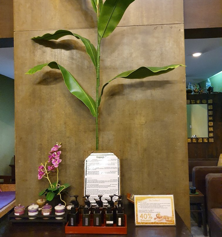Leela Thai Herbal Massage景点图片