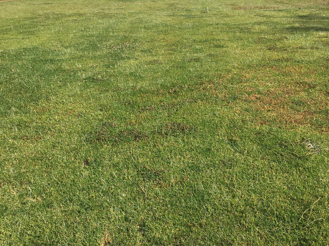 Golf Son Parc Menorca-Son Parc必去景点