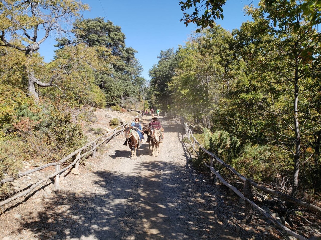 Vilches Alto-San Clemente必去景点