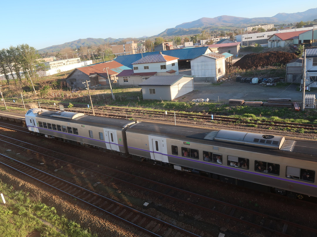 Business Hotel Fresco Yakumo主图