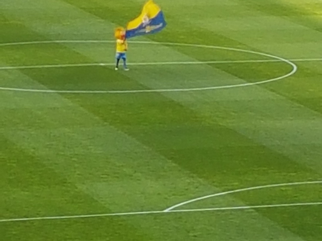 Anexo Estadio de Gran Canaria-大加那利岛拉斯帕尔马斯必去景点