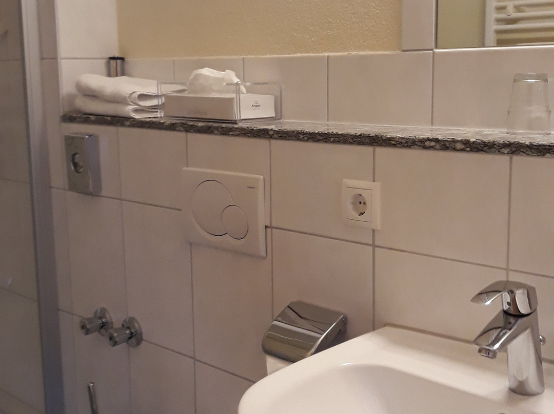 Metzgereigasthof Rebstock主图