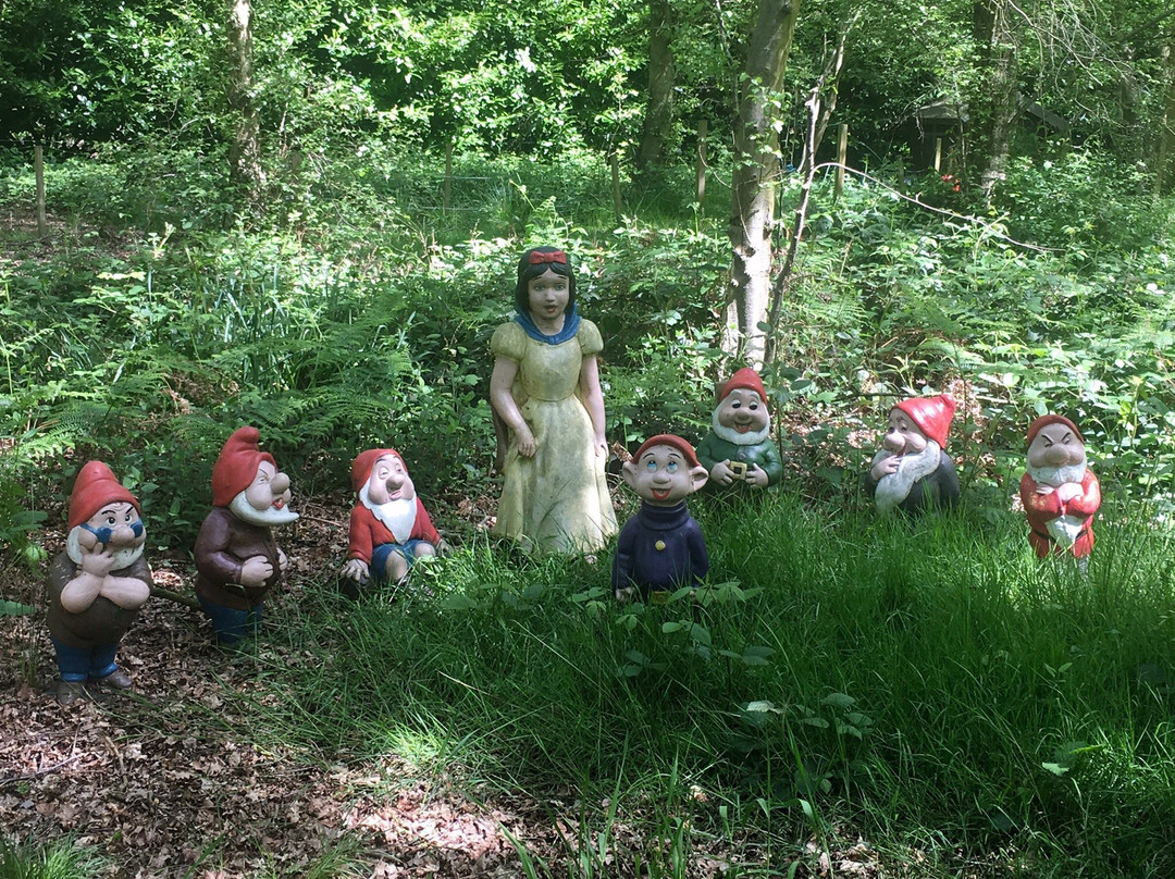 Gnome Magic Garden景点图片
