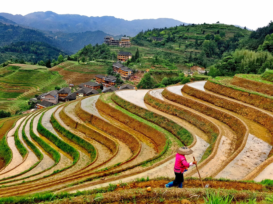 Longji One Day Tours景点图片