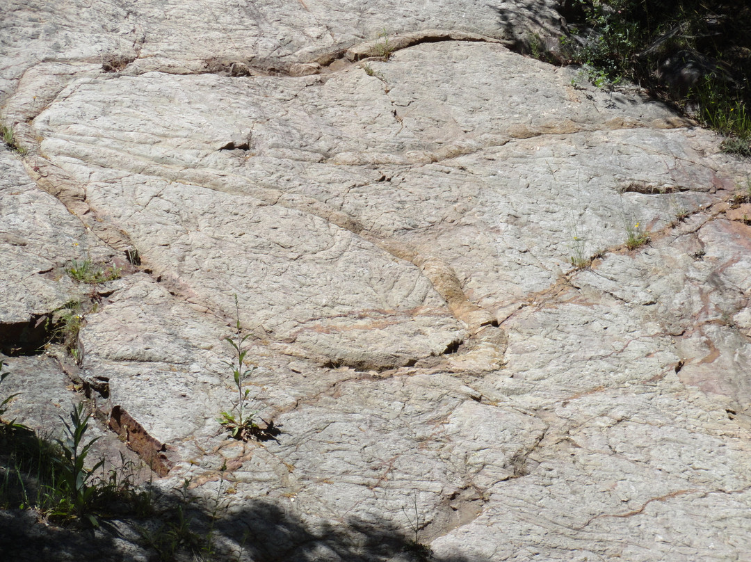 Tarentola Eco-Experiencias-Hontanar必去景点