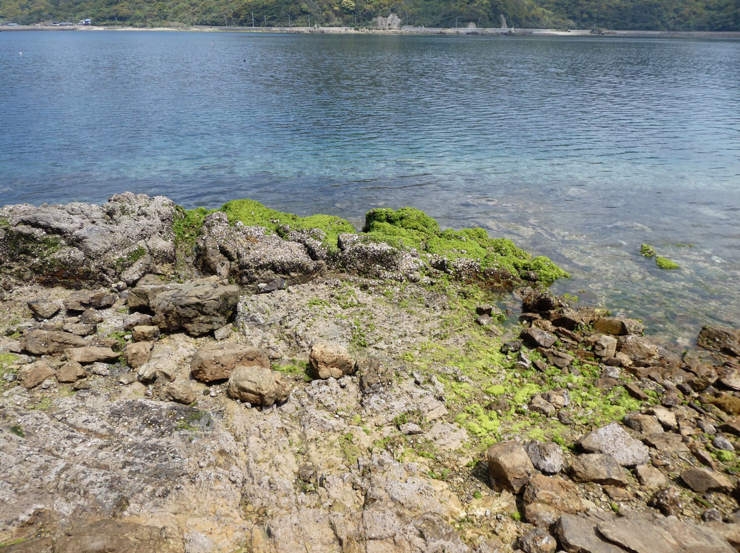 Naru Island景点图片