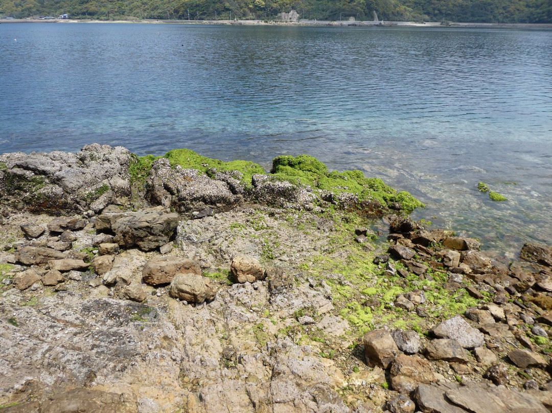 Naru Island-五岛市必去景点