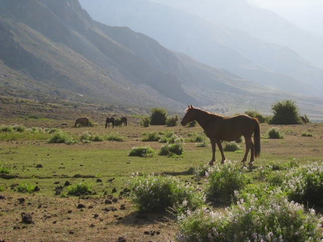 Termas del Flaco-San Fernando必去景点