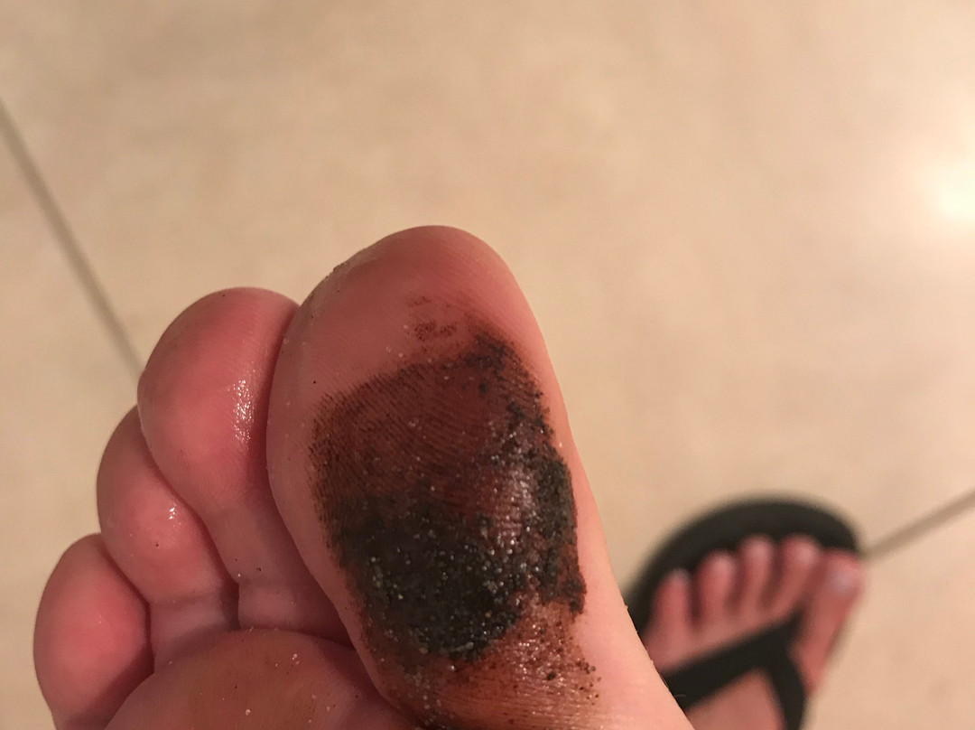 阿贝格别墅主图