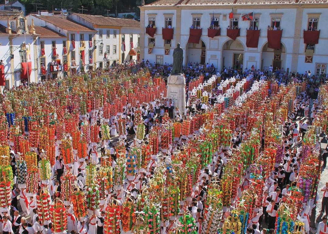 Évora Cultural Experience景点图片