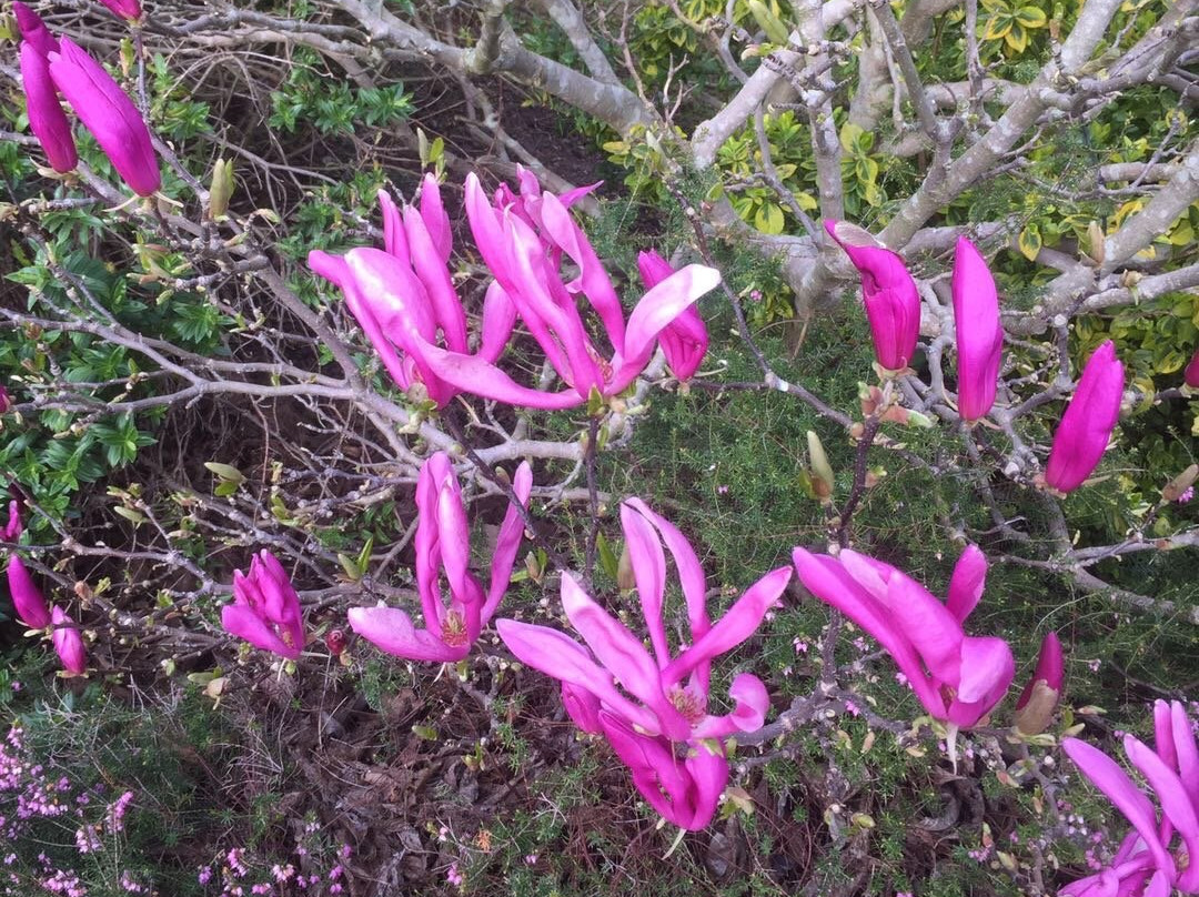 Moore Nature Reserve-沃灵顿必去景点
