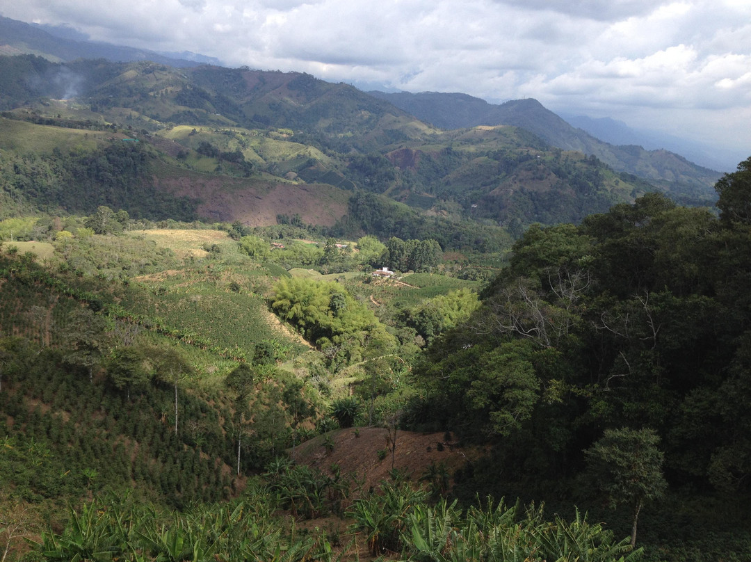 Finca La Coca-萨伦托必去景点