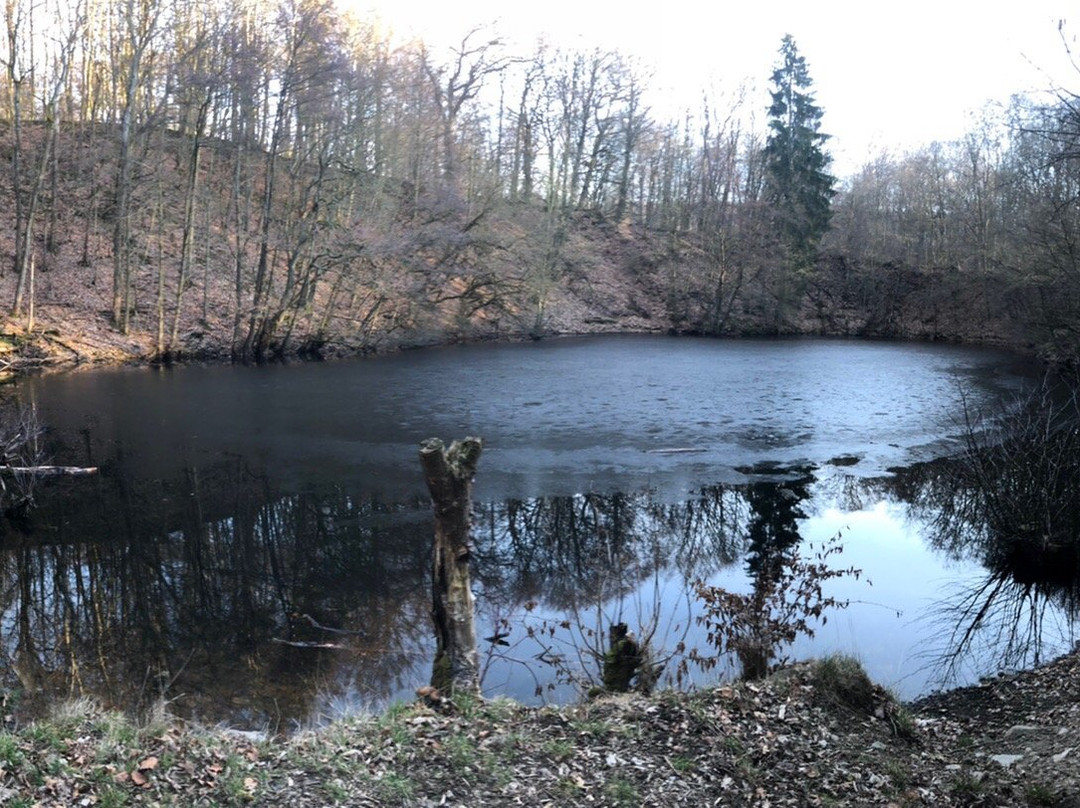 Habichtswald旅游攻略图片