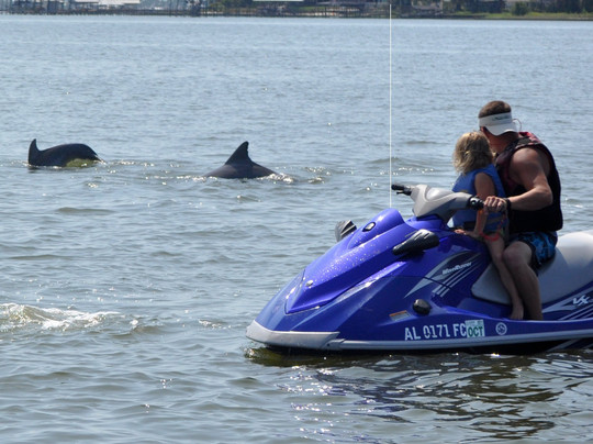 Barefoot Tours & Charters-橙色海湾必去景点