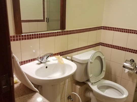 Venus Premier Hotel主图