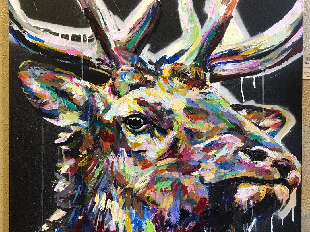 Aspen and Evergreen Gallery-埃斯蒂斯公园必去景点