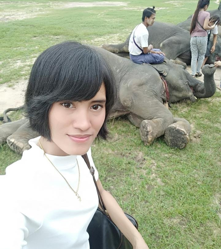 Winga Baw Elephant Camp-勃固必去景点
