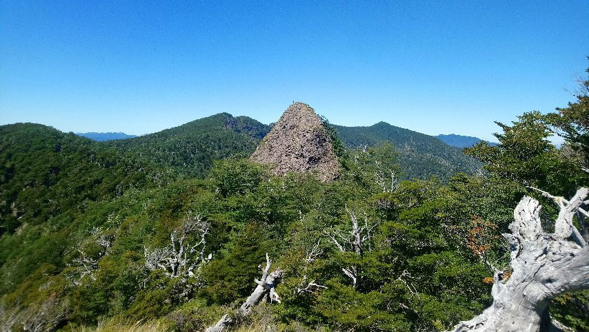 Futrono旅游景点-Parque Pico Toribio